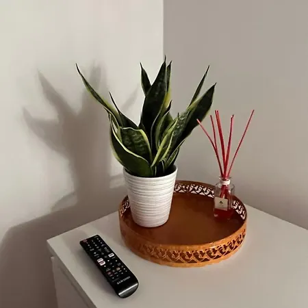 ゲストハウス Dag Petit Relais オルヴィエート