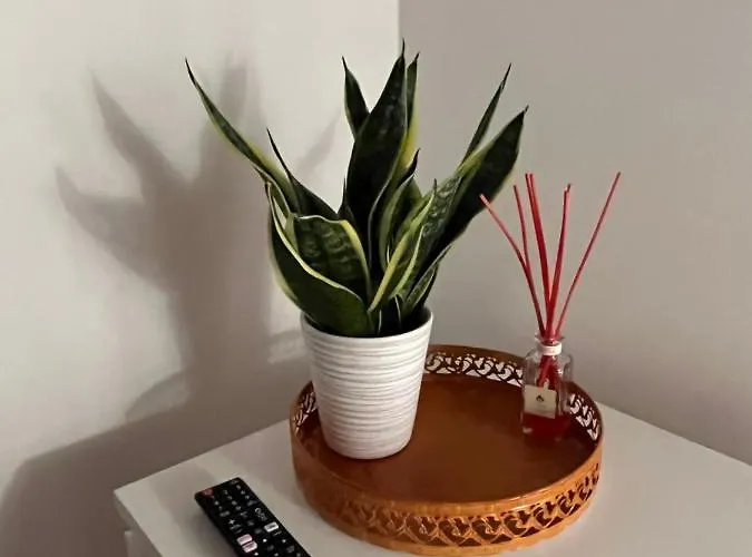 Casa de hóspedes Dag Petit Relais Orvieto